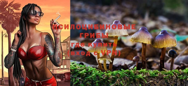 трава Баксан