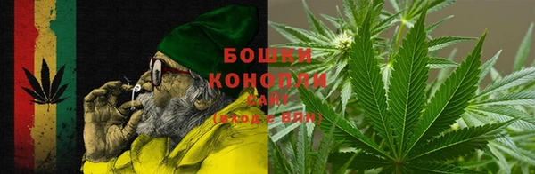 гашик Арсеньев