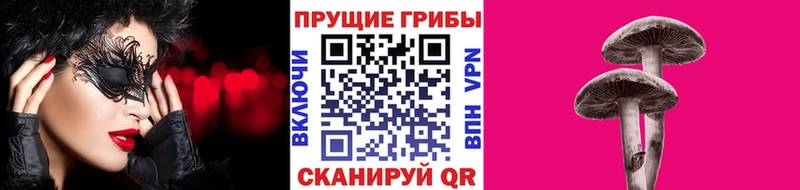 Галлюциногенные грибы GOLDEN TEACHER  мега онион  Озёрск 